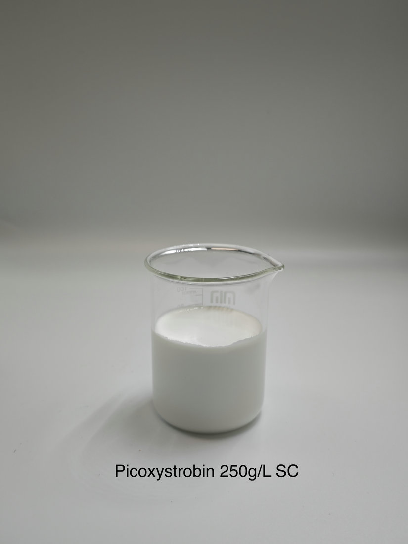 Picoxystrobin 250g/L SC